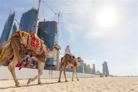 10 Reasons to Visit Dubai - eDreams Travel Blog