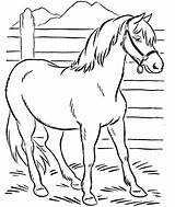 Free Printable Horse Coloring Pages For Kids sketch template