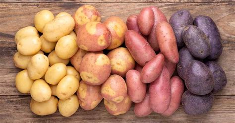 AN INSIGHT INTO THE DIFFERENT POTATO SPECIES - Research IN Time