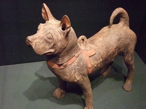 Earthenware Dog China Han Dynasty 206 to 220 CE | Photograph… | Flickr