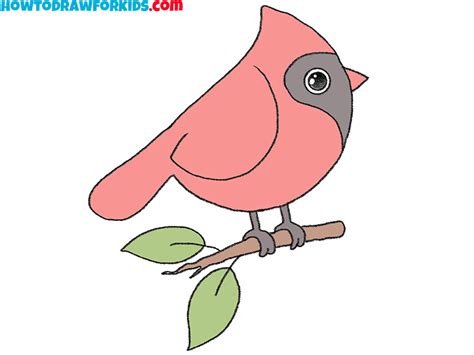 How to Draw a Cardinal Bird - Easy Drawing Tutorial For Kids