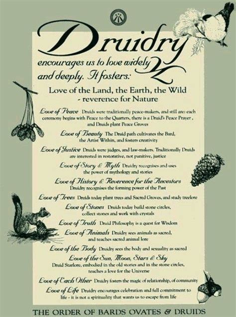 Pin by Kelly Lackey on Spirit | Druid, Celtic druids, Pagan