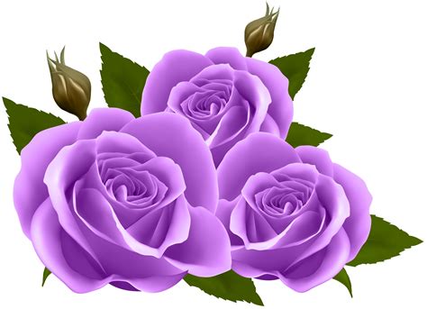 clip art purple rose 20 free Cliparts | Download images on Clipground 2024