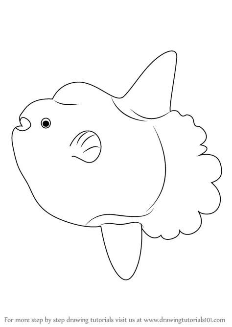 How to Draw a Ocean Sunfish (Fishes) Step by Step | DrawingTutorials101.com