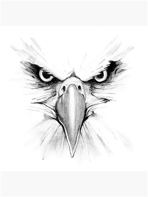 "Eagle Face" Sticker by seizethejay | Redbubble