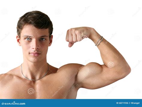 Biceps Stock Photography | CartoonDealer.com #1894514