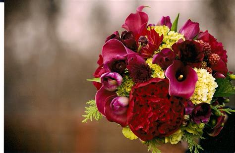 Molly's Blog: Red and green flowers