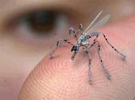 Insect Spy Drone | Snopes.com