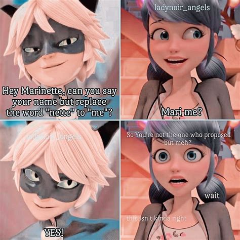 🐱💚More Marichat💟👒 CreditsTo: ladynoir_angels | Miraculous ladybug memes, Miraculous ladybug ...