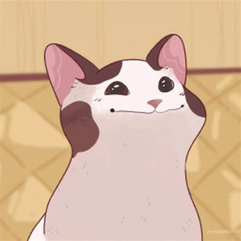 Pop Cat Oatmeal Anime GIF | GIFDB.com