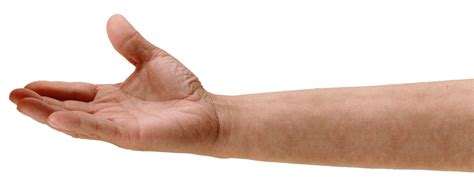 PNG HD Of Hands Transparent HD Of Hands.PNG Images. | PlusPNG