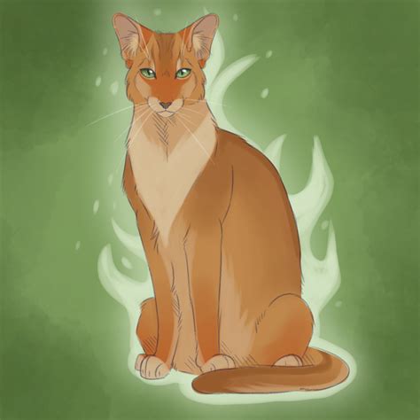 leafpool and firestar redesign!! - Designs that are an animator's worst nightmare