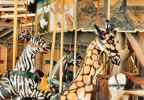 The Dentzel Carousel at Ontario Beach Park Dentzel Outside Row Giraffe ...