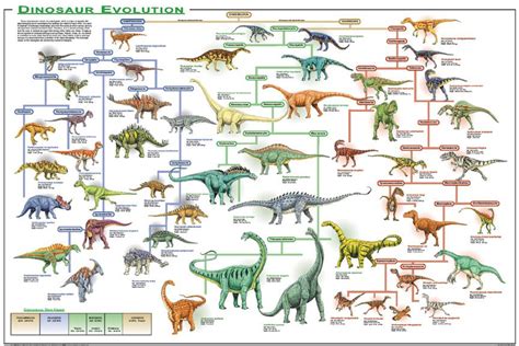 How Did #Dinosaurs Change Over Time In The Mesozoic Era? | Dinosaur Home | Dinosaur posters ...