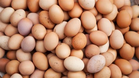 The 20 Best Egg Brands, Ranked