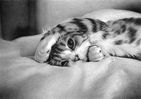 Cat Pencil Drawing | KevsArt.com | Pencil drawings of animals, Pencil ...