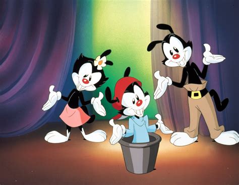 animaniacs, Family, Animation, Comedy, Cartoon Wallpapers HD / Desktop and Mobile Backgrounds