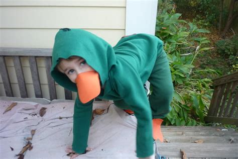 Perry the Platypus costume | Nancy Dorsner | Flickr