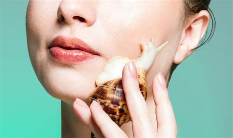 Snail slime a Miracle Skin Cream or a Farce - Women Fitness