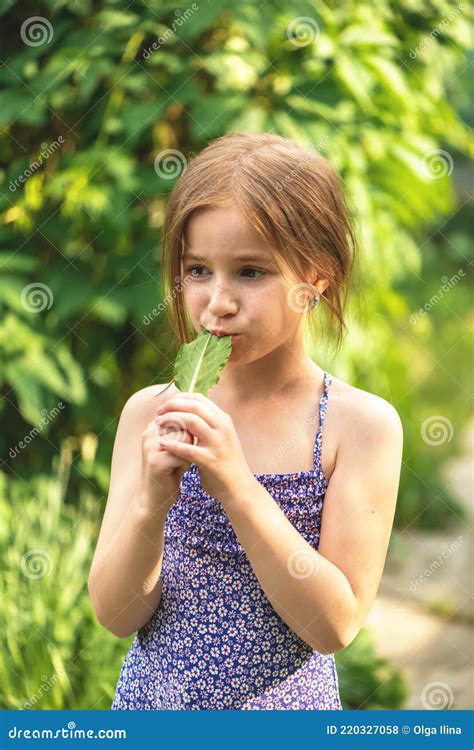 Little Cute Girl Eats Green Leaf of Sorrel Stock Photo - Image of leaf, child: 220327058