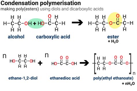 Synthetic and Naturally Occuring Polymers | AQA C7 | revisechemistry.uk