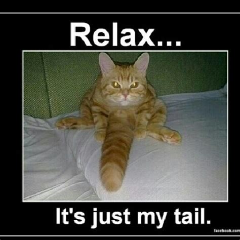 Relax - Meme by Sophiemisaacs :) Memedroid