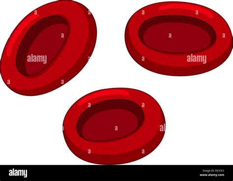 Red Blood Cell Drawing What Is An Example Of A Red Blood Cells Diagram ...