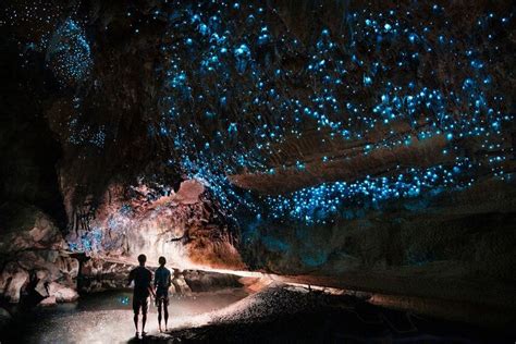 Glowworm Caves, New Zealand | Glowworm caves new zealand, Magical places, New zealand