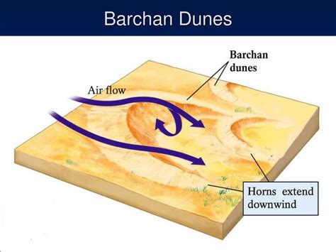 PPT - Lecture 16 - Deserts PowerPoint Presentation, free download - ID ...