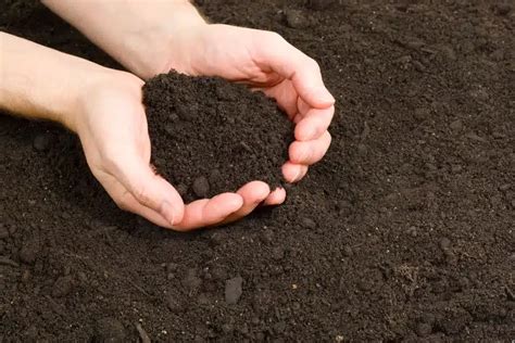 The Importance of Nutrient Rich Soil | Mountain Road Landscaping