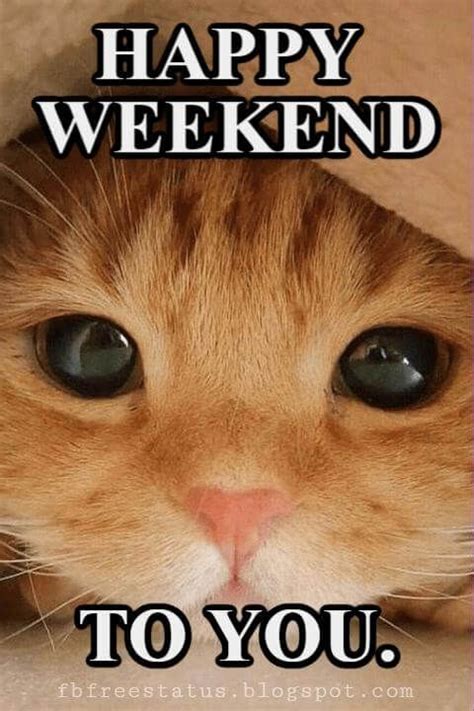 Funny & Happy Weekend Quotes With Memes Images Pictures | Happy weekend quotes, Happy weekend ...