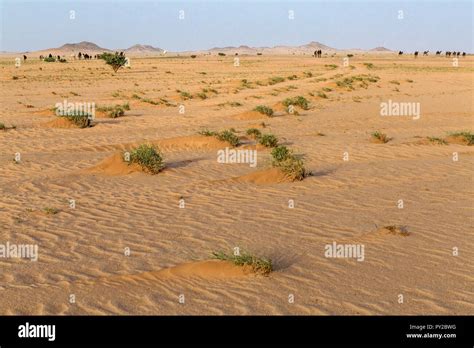 Desert landscape, Saudi Arabia Stock Photo - Alamy