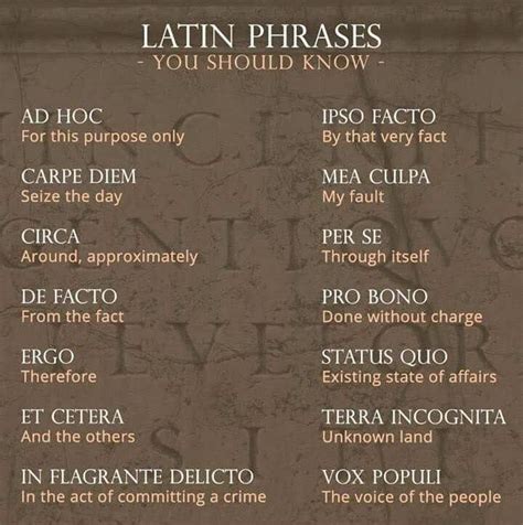 Pin by Emmie Scharf on Random stuff | Latin phrases, Latin quotes, Writing words