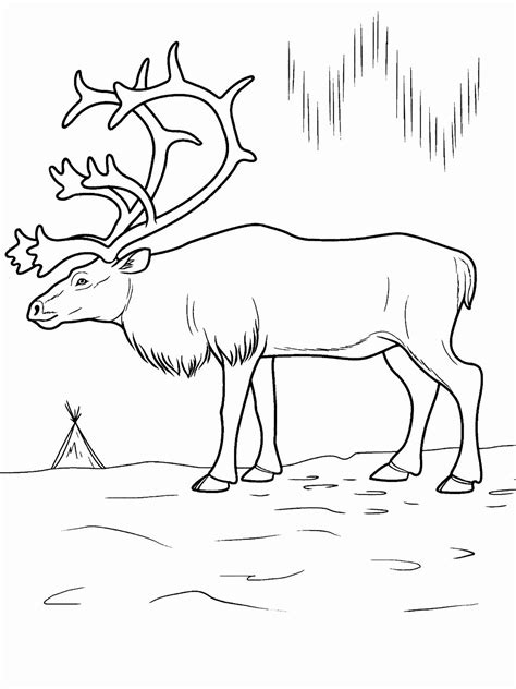 Coloring Pages Ecosystem Animals Luxury Coloring Pages for Tundra | Animal coloring pages, Deer ...