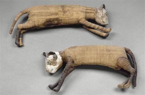 Ancient Egyptian Animal Mummies - Historic Mysteries