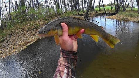 Wisconsin Trout Fishing - 10/15/2018 Closer - YouTube