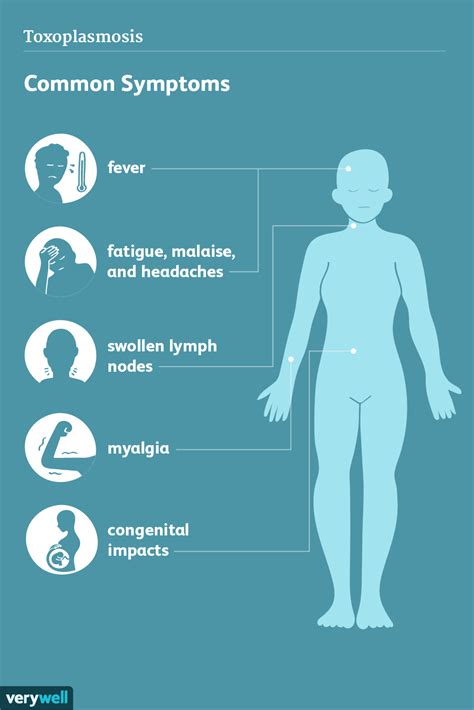 Toxoplasmosis: Signs, Symptoms, and Complications