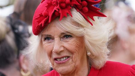 Queen Camilla's bright red tunic dress showcases must-have style - ExBulletin