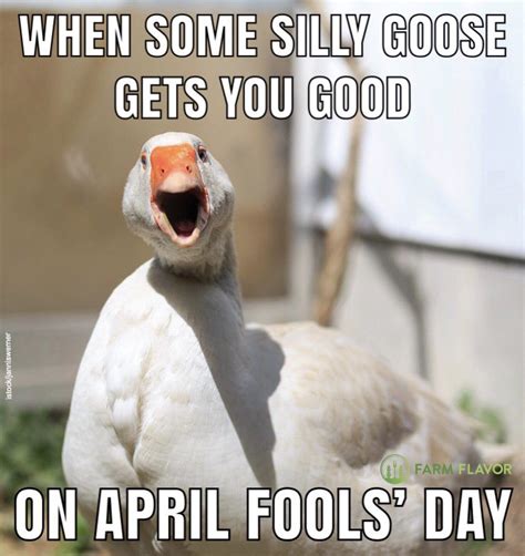 The Best & Funniest April Fool's Day Memes - Mama's Geeky / Movie & TV Geeks