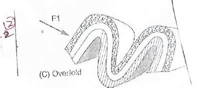 The diagram below shows a types of fold.
