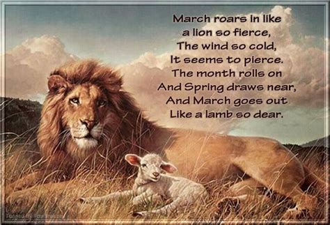 March Poem | Lion and lamb, Lamb pictures, Lion