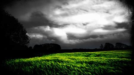 Dark Land - Fields & Nature Background Wallpapers on Desktop Nexus (Image 348668)