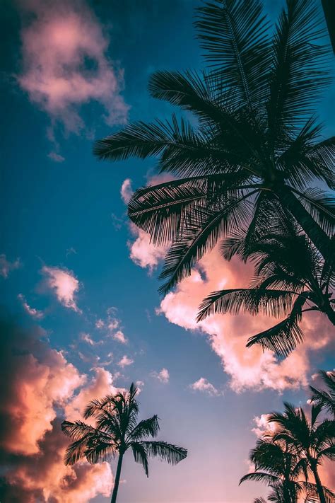 Chill & Peaceful. best, background, outdoor and cloud, Cool Chill, HD phone wallpaper | Peakpx