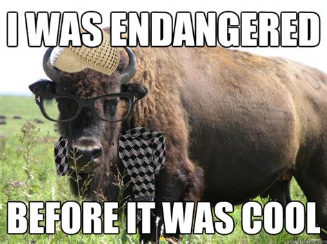 hipster buffalo memes | quickmeme