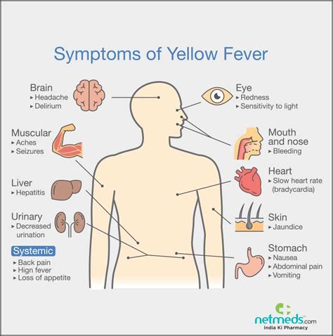 Yellow Fever: Causes, Symptoms, And Treatment | Netmeds