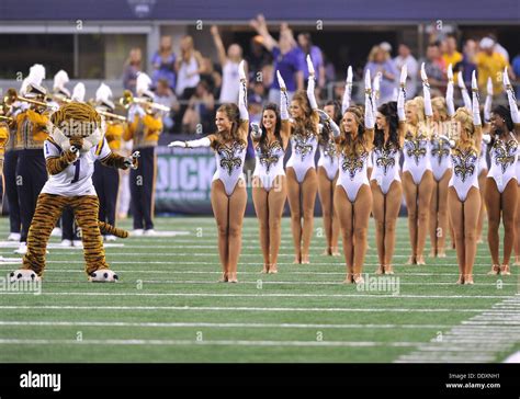 Aug 2013 31 lsu golden girls tigers hi-res stock photography and images ...