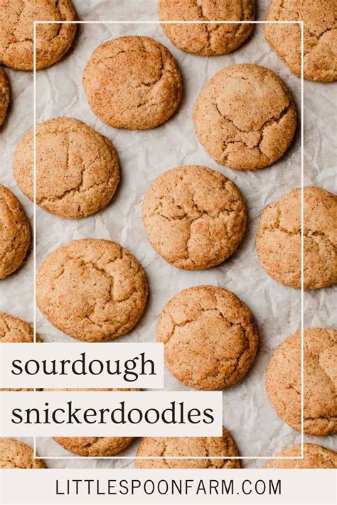 Sourdough Snickerdoodles - Little Spoon Farm
