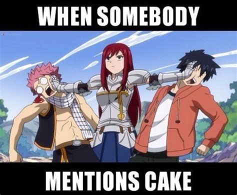 8 Funny Fairy Tail Anime Memes