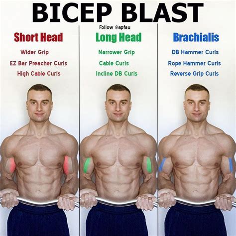 Biceps training that will help you through your ... #workoutplans Biceps workout that lets you ...