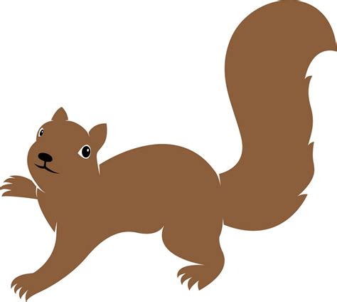 realistic squirrel - Clipart World